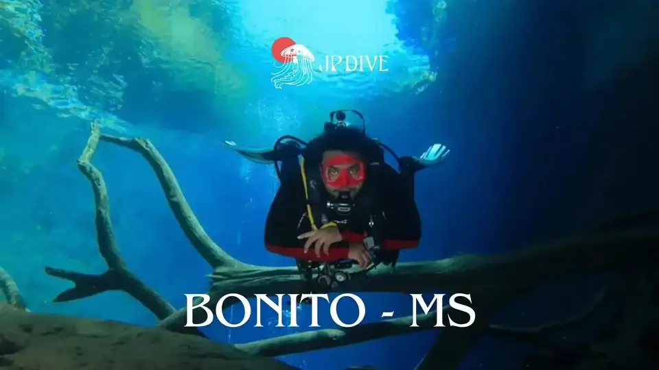 bonito