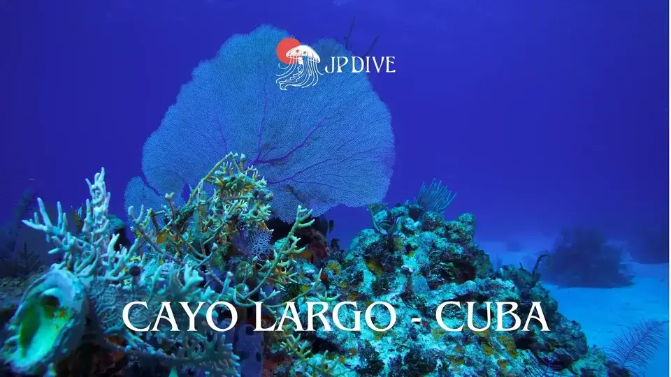 cayo-largo